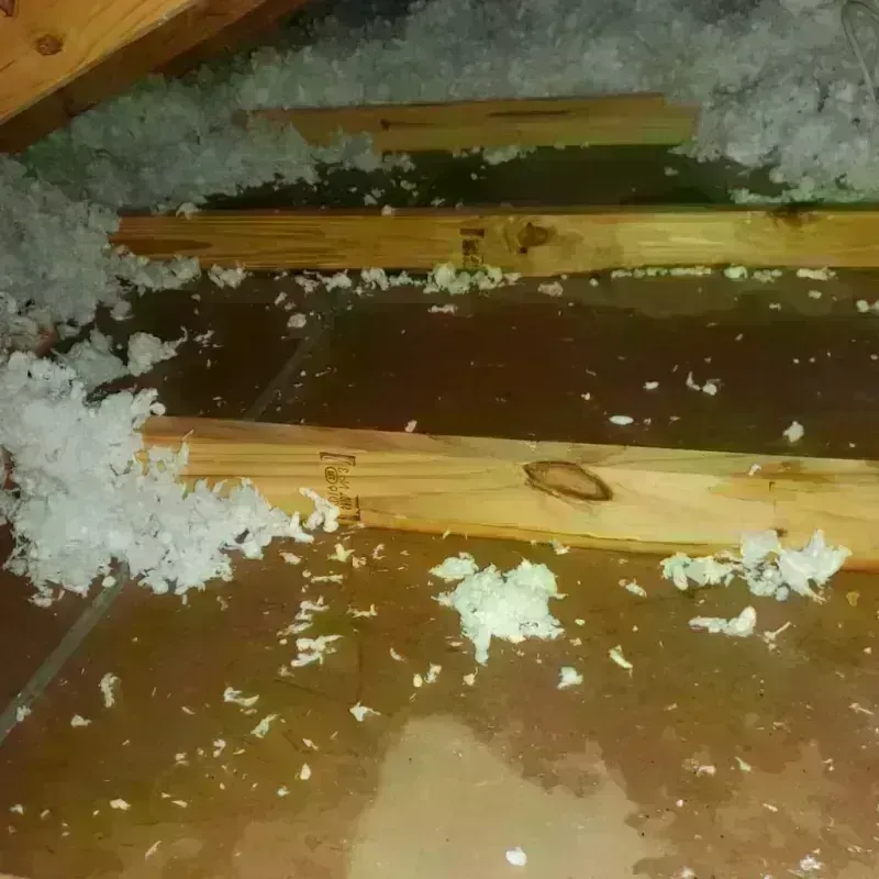 Attic Water Damage in Buckland, MA